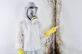 Best Residential Mold Inspection & Testing  in Piney, AR